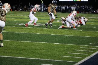 October 11 2019 IMG_2584613